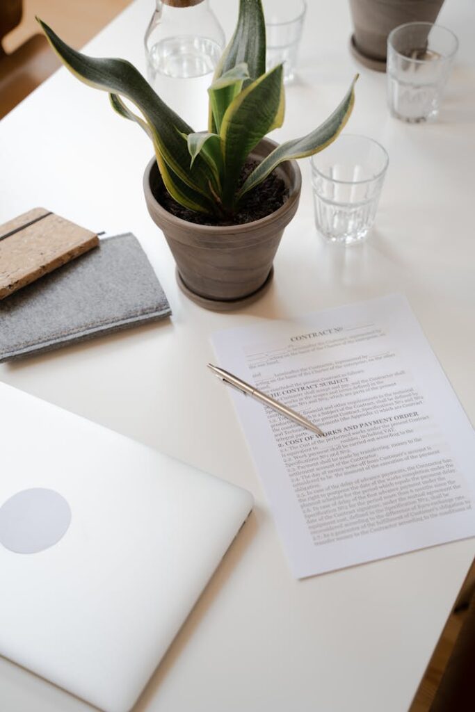 Minimalist workspace featuring a contract document, potted plant, and laptop on a white desk.